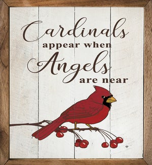 Cardinals Appear When Angels Are Near Whitewash